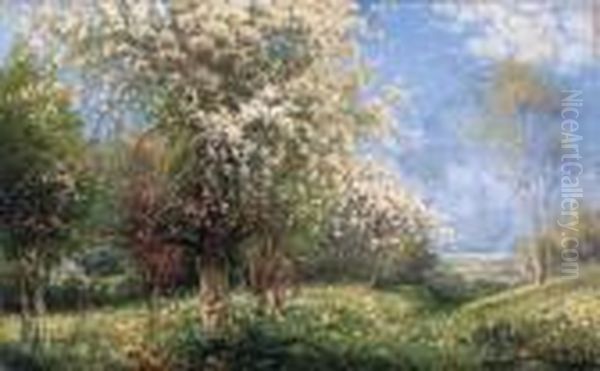 Trees Blossomg On The Hillside Oil Painting by Karl Kaufmann