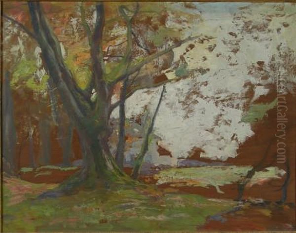 Tree Study Oil Painting by Archibald Kay