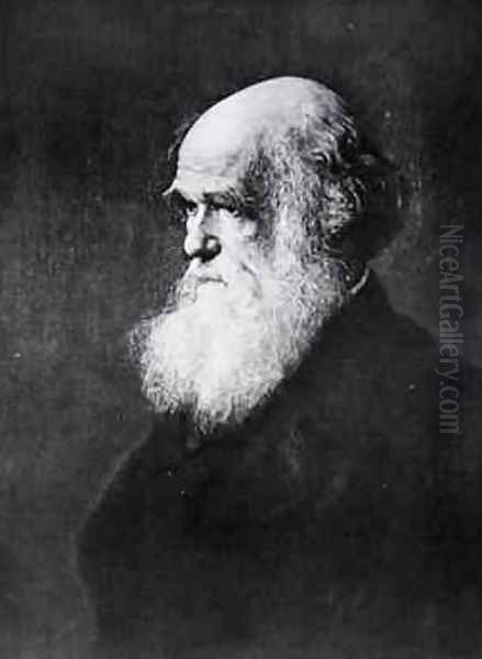 Charles Darwin, print after the painting by W.W. Ouless, illustration from The History of the Nation Oil Painting by Walter William Ouless