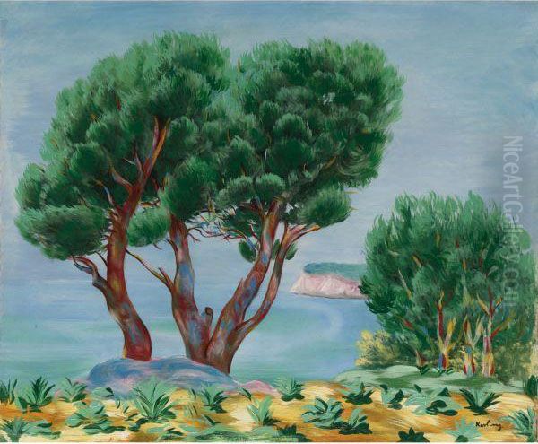 Paysage Aux Pins Oil Painting by Moise Kisling