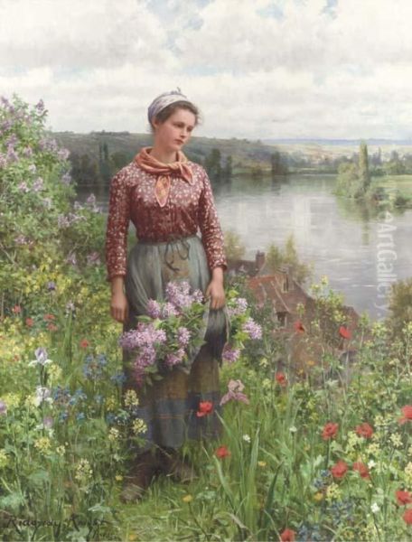 Gathering Lilacs Oil Painting by Daniel Ridgway Knight