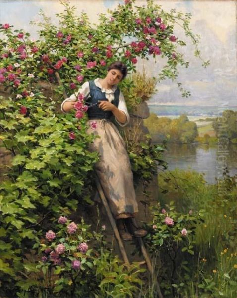 Cutting The Roses Oil Painting by Daniel Ridgway Knight