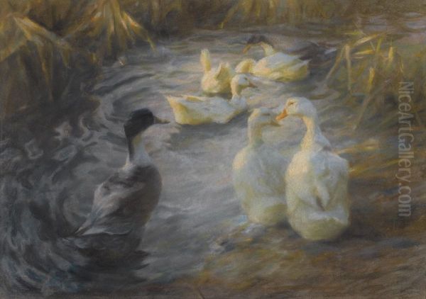 Ducks Among Reeds In A Pond Oil Painting by Alexander Max Koester