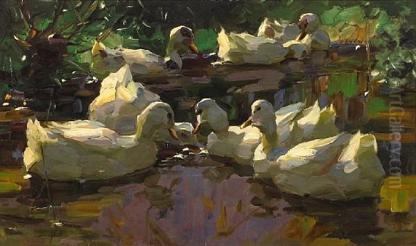 Ducks In A Pond Oil Painting by Alexander Max Koester