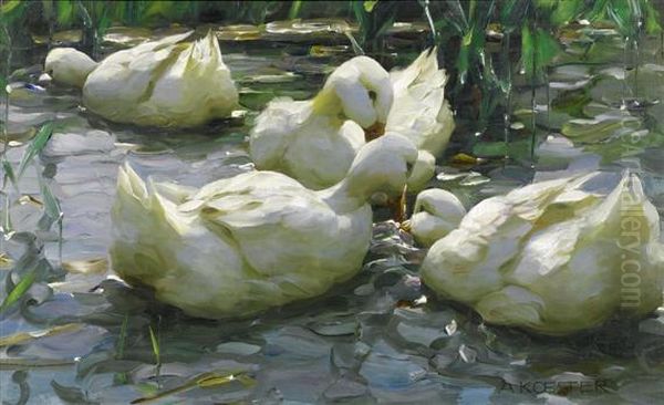 Four Ducks In The Water Oil Painting by Alexander Max Koester