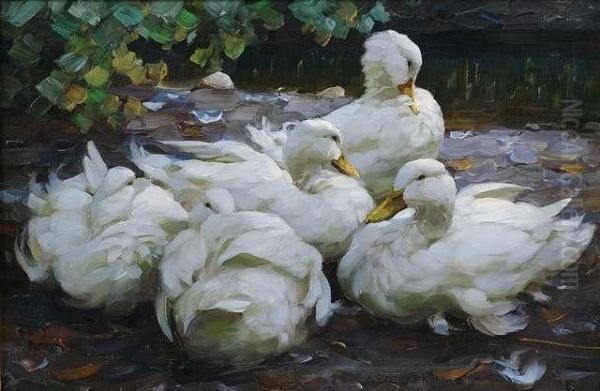 Five White Ducks Resting Oil Painting by Alexander Max Koester