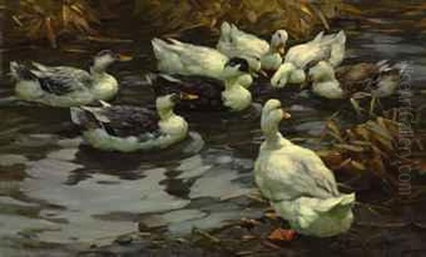 Ducks In The Evening Sun Oil Painting by Alexander Max Koester