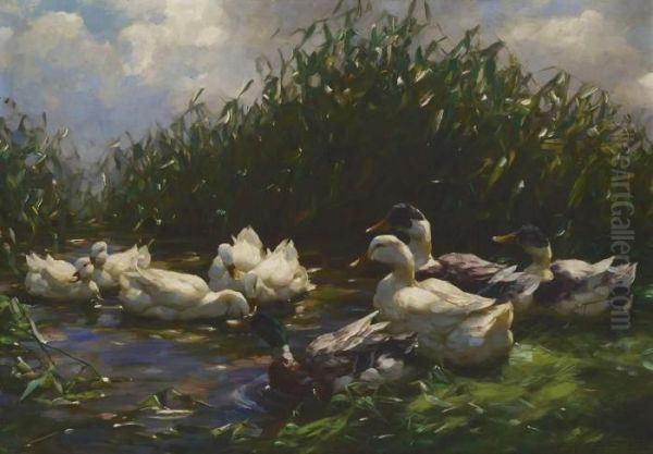 Neun Enten Im Schilf Oil Painting by Alexander Max Koester