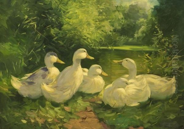 Funf Enten Am Teich Oil Painting by Alexander Max Koester