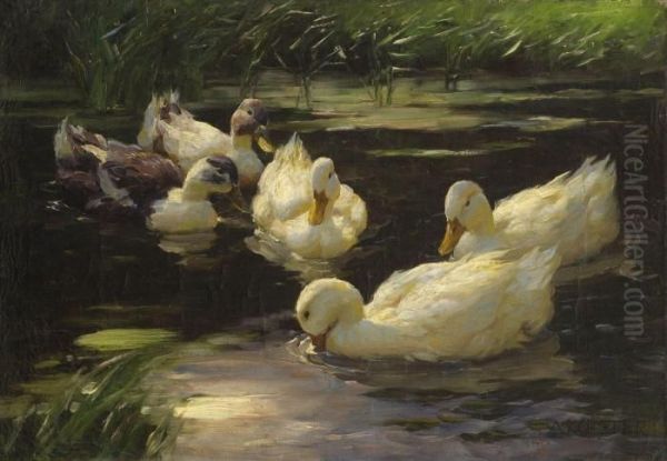 Funf Enten Im Schilfteich Oil Painting by Alexander Max Koester