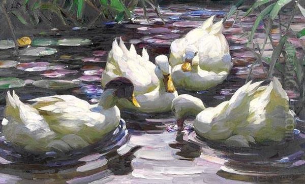 Vier Schwimmende Enten Im Teich Oil Painting by Alexander Max Koester