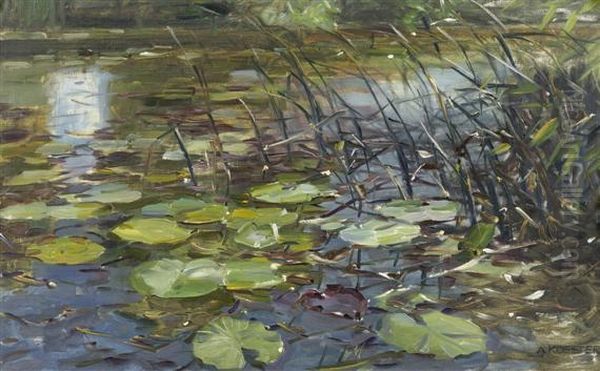 Waterlilies And Reeds Oil Painting by Alexander Max Koester