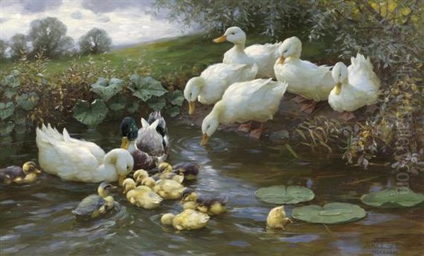 Family Of Ducks At The Water Oil Painting by Alexander Max Koester