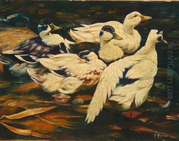 Muskovy Ducks Wading In A Pool Oil Painting by Alexander Max Koester