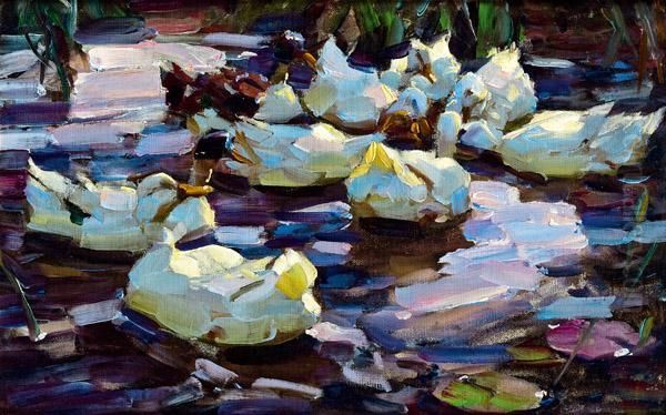 Enten Im Schilfwasser Oil Painting by Alexander Max Koester