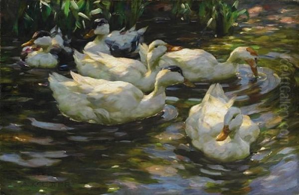 Enten Im Teich Oil Painting by Alexander Max Koester