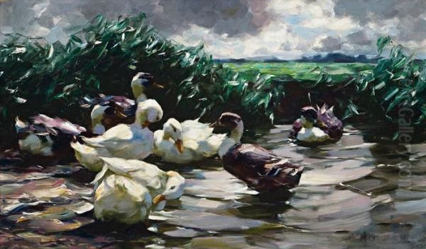 Enten Im Wasser Oil Painting by Alexander Max Koester