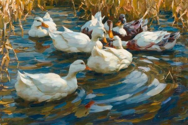 Ducks In Blue Reedy Water. Oil Painting by Alexander Max Koester