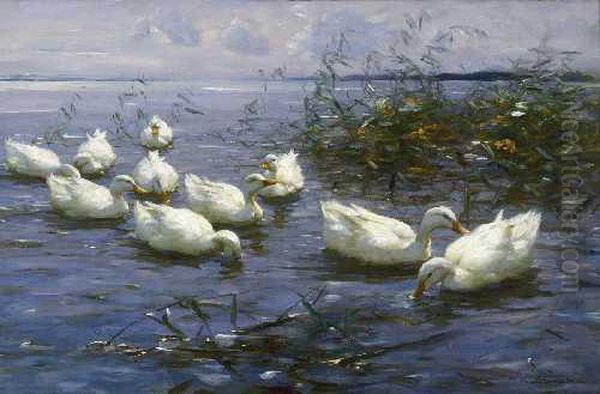 Zehn Weise Enten Im Wasser. Oil Painting by Alexander Max Koester