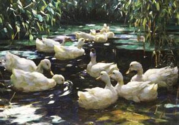 Schwimmende Enten Im Teich Oil Painting by Alexander Max Koester