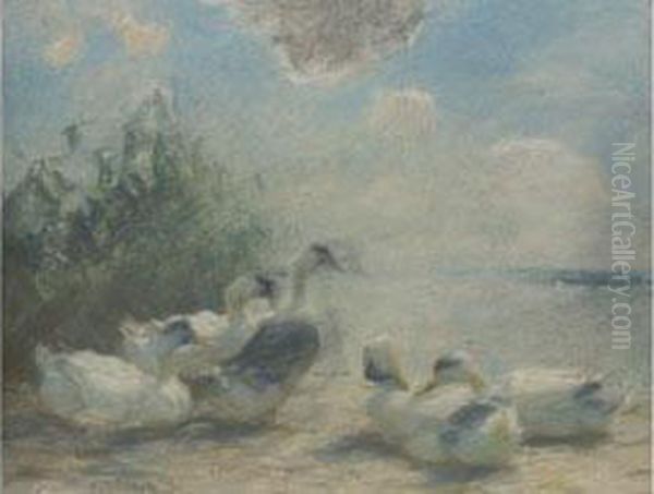 Enten Am Seeufer Oil Painting by Alexander Max Koester