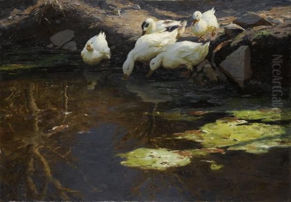 Funf Enten Am Teich Bei Abendstimmung Oil Painting by Alexander Max Koester