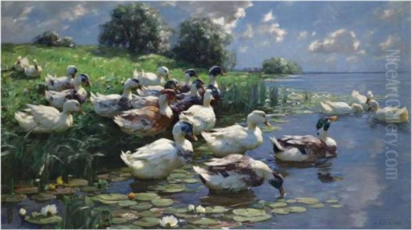 Enten Am Seeufer (ducks On A Lake Shore) Oil Painting by Alexander Max Koester