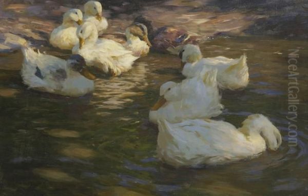 Neun Enten Im Wasser. Oil Painting by Alexander Max Koester