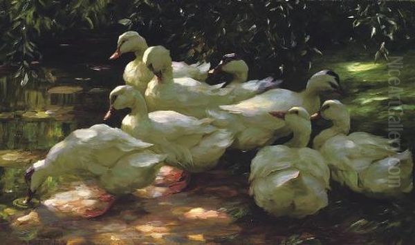 Lagernde Enten Oil Painting by Alexander Max Koester