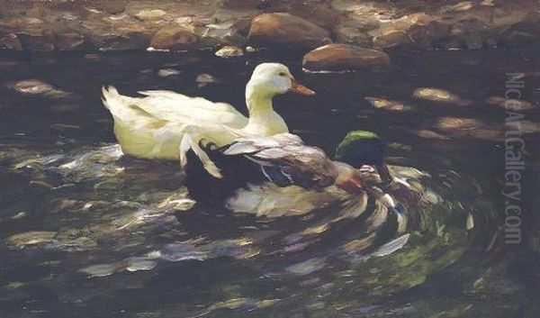 Ducks On A Pond Oil Painting by Alexander Max Koester