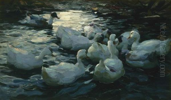 Elf Enten Im Wasser Oil Painting by Alexander Max Koester