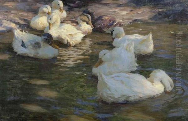 Nine Ducks In A Pond. Oil Painting by Alexander Max Koester