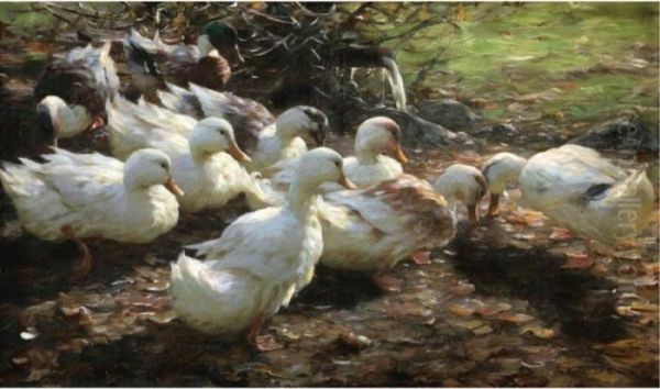 Neun Enten Am Wasserlauf (nine Ducks) Oil Painting by Alexander Max Koester