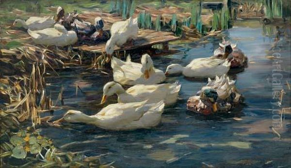 Weise Enten Am Seeufer Oil Painting by Alexander Max Koester