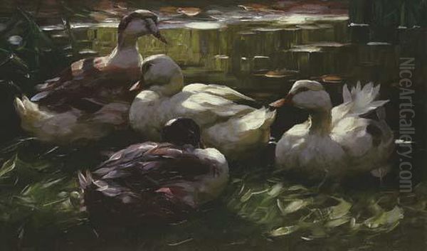 Vier Enten Am Wasser Oil Painting by Alexander Max Koester