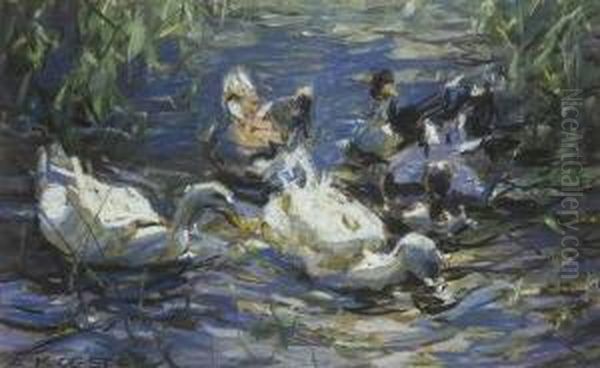 Funf Enten Auf Sonnigem
 Schilfwasser. Oil Painting by Alexander Max Koester