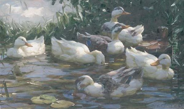 Ducks On A Lake Oil Painting by Alexander Max Koester