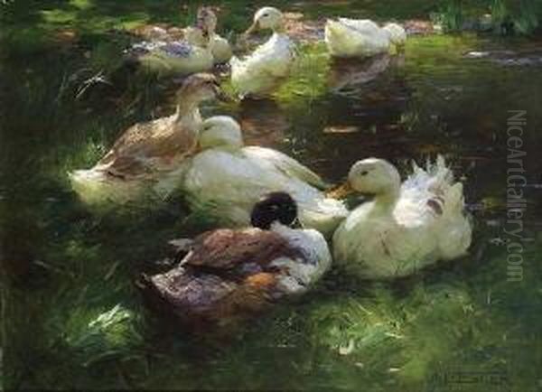 Acht Enten Am Teich. Oil Painting by Alexander Max Koester