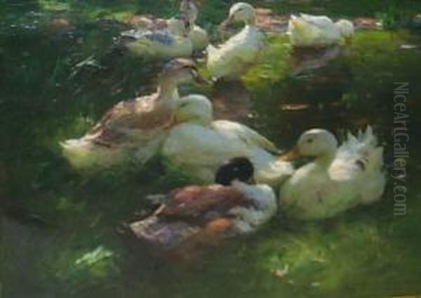 Acht Enten Am Ufer Eineteiches. Unten Rechts Signiert A. Koester Oil Painting by Alexander Max Koester