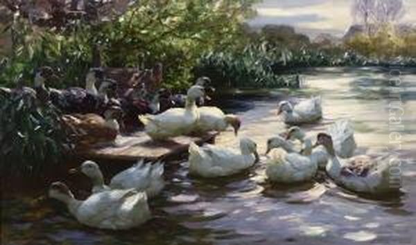 Enten Am Steg. Oil Painting by Alexander Max Koester