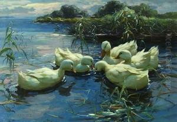 Funf Weise Enten Im
 Schilfwasser. Oil Painting by Alexander Max Koester