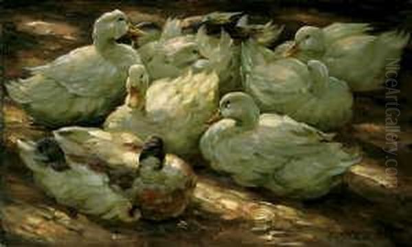 Acht Ruhende Enten. Oil Painting by Alexander Max Koester