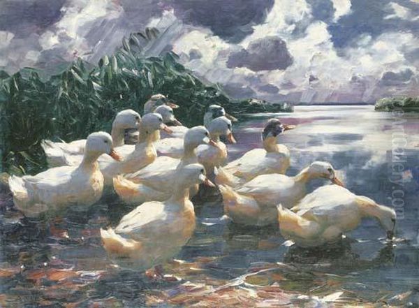 Ducks On A Pond Oil Painting by Alexander Max Koester