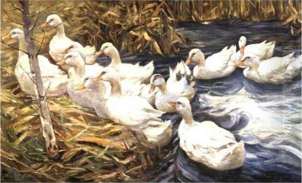 Enten Beim Verlassen Des Teiches Oil Painting by Alexander Max Koester