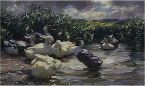 Seven Ducks In A Pond Oil Painting by Alexander Max Koester