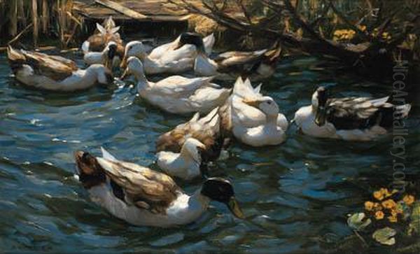 Enten In Schilfwasser Unter Asten (ducks In The Reeds Under Theboughs)
Signed 'a Koester.' (lower Left) Oil Painting by Alexander Max Koester