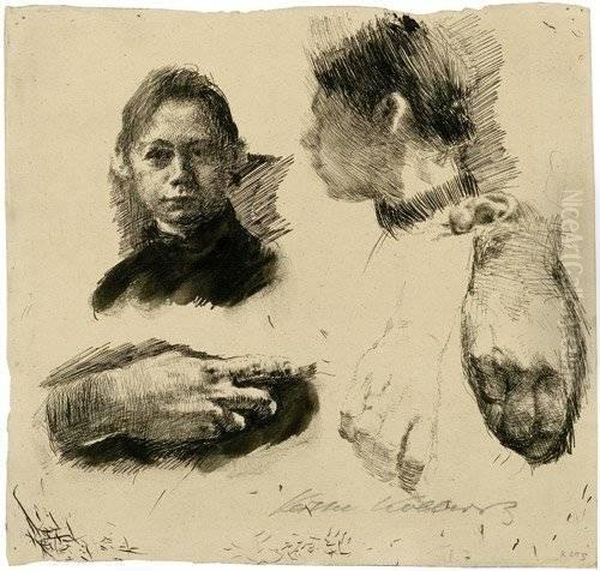 Studienblatt Mit Zwei Selbstbildnissen Oil Painting by Kathe Kollwitz