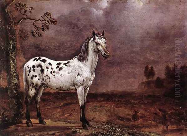 The Spotted Horse Oil Painting by Paulus Potter