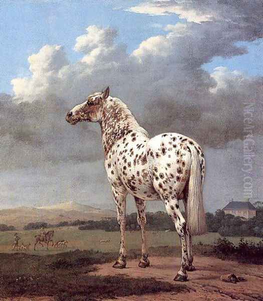 The Piebald Horse 1650-54 Oil Painting by Paulus Potter