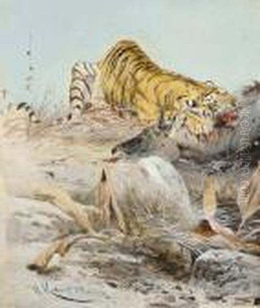 A Tiger And It's Prey Oil Painting by Wilhelm Kuhnert